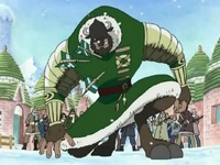 Dalton Bison
