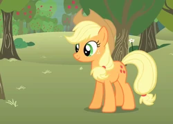 Applejack.png
