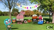 Dumb Race