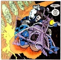 Lobo 043