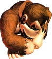 DKBarrelroll