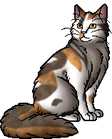 Sorreltail.warrior