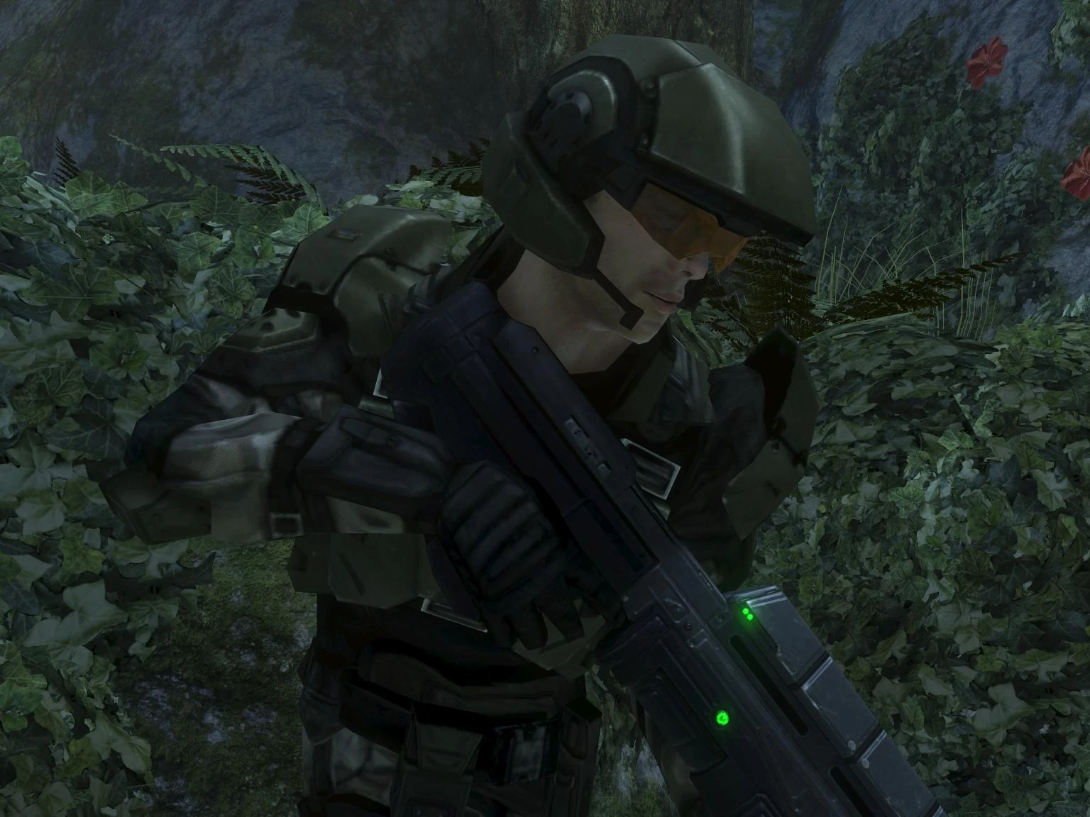 [Image: PFC_Chips_Dubbo.jpg]