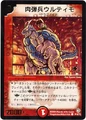 Dm-p19-y2