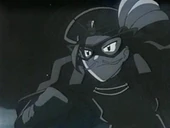 Arácnido Negro