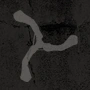 Content logo box3.png