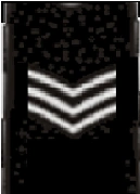 Sergeant 3