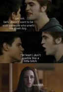 Funny-Twilight-Picture-random-13515177-550-794