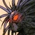MVC2 Blackheart