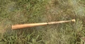 Baseball bat.jpg