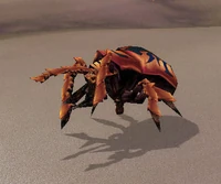 Image of Sand-Husk Scarab
