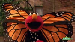 Elmo-Butterfly
