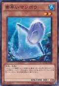 NimbleSunfish-EXP4-JP-C