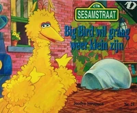 BigBirdwilgraagweerkleinzijn