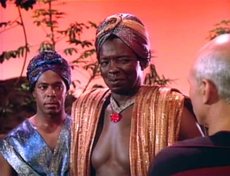 Tng104