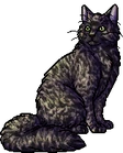 Olivenose.warrior