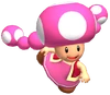 Toadette Brawl