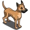 Chinook-icon
