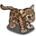 Clouded Leopard-icon.png