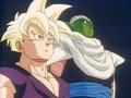 GohanWithPiccolo.png
