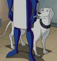 Krypto DCAU 001