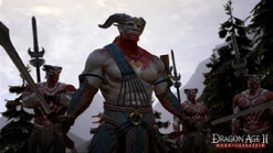 Mysterious Qunari