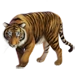 Blind Tiger