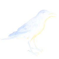 Huge item eastern crow 01.png