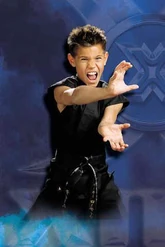 Shadow Fury