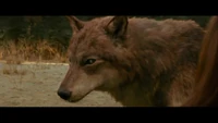 Jacob-wolf-first-time-new-moon