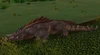 RiverbedCrocolisk