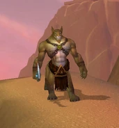 SalhetSWR