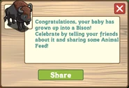 Bison Message