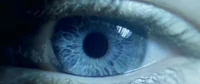Trailer01