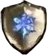 Wintershield icon