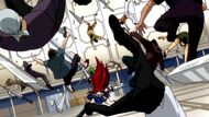 Erza vs Eisenwald