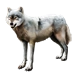 Courageous Wolf