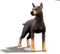 Dogiconn