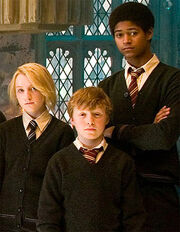 Luna, nigel and dean