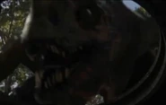 Raptoar