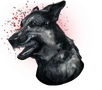 Attack dogs ELITE