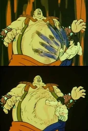 Jūha Zan.jpg