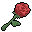 Red Rose