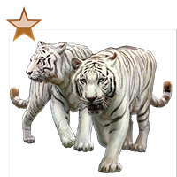 Huge item pairofpettigers bronze 01