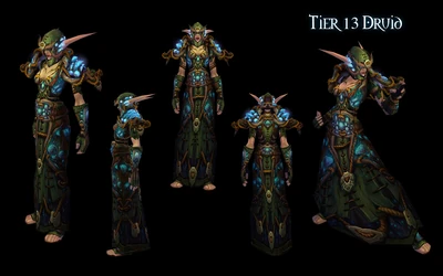 Druid 13