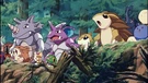 P04 Pokémon del bosque (2)
