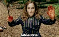 SalvioHexia.gif