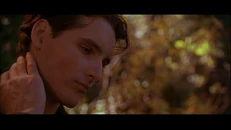 Foxfire