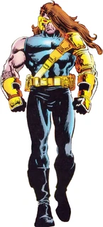 Scott Summers (Tierra-295)