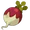 Tuberbulb